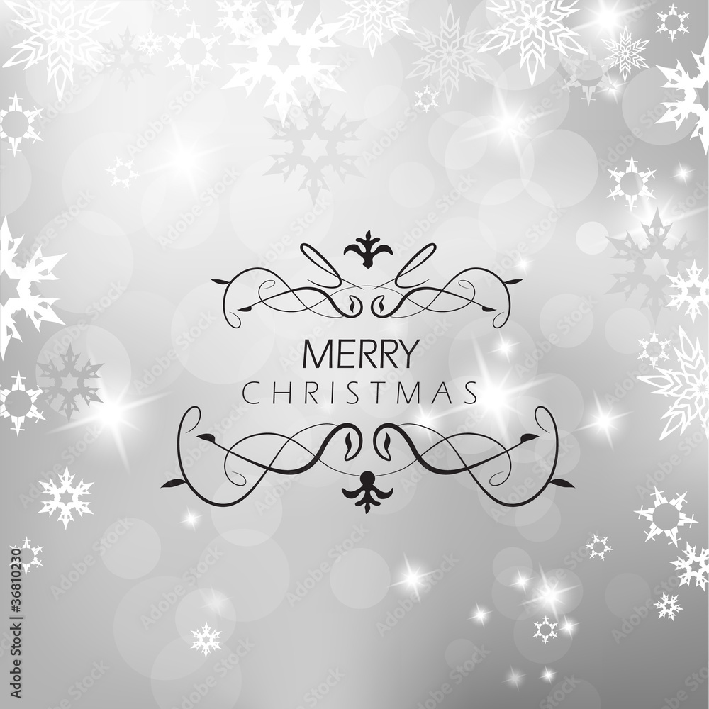 Christmas silver background with snow flakes.