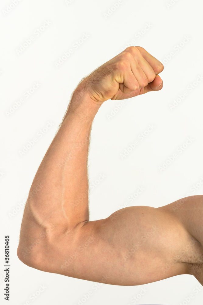 Picture of a muscular arm flexing Picture of a muscular arm flexing