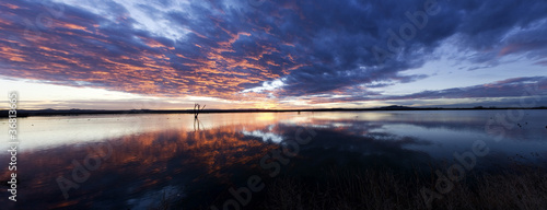 Sunrise tw0031