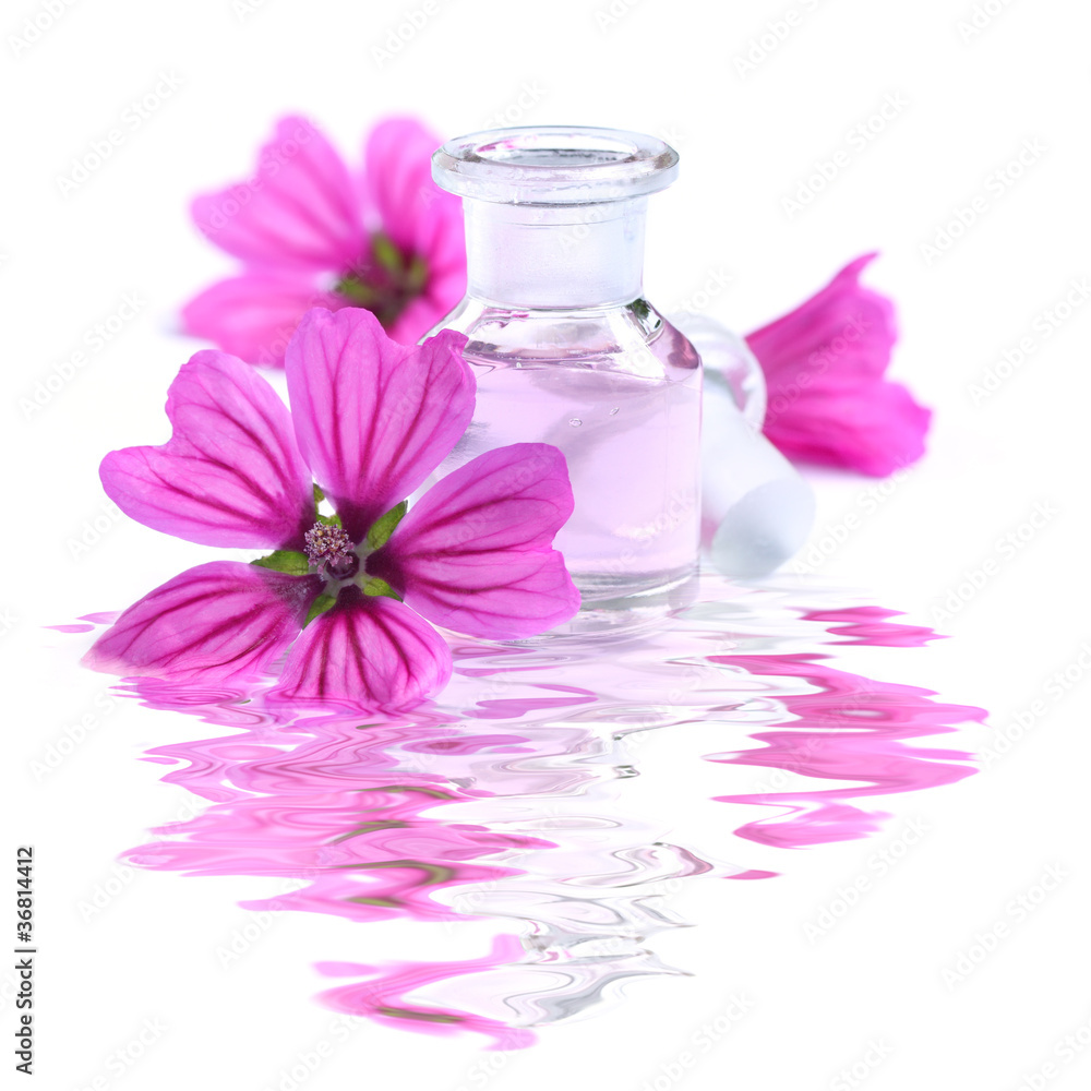Spa Scene mit Malven (Malva sylvestris) Spa Scene mit Malven (Malva sylvestris)