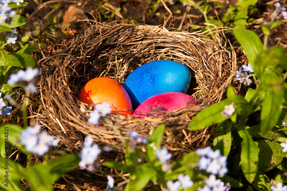 Osternest, easter eggs in a nest Osternest, easter eggs in a nest