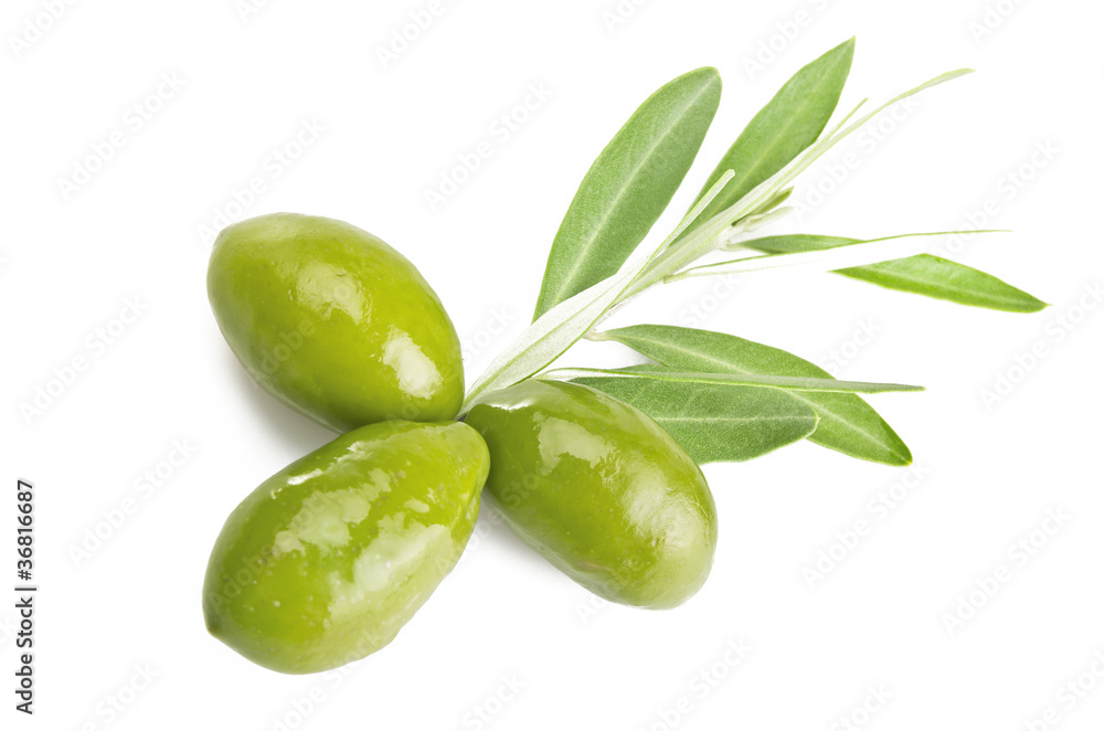 Branch with olives on the white Branch with olives on the white