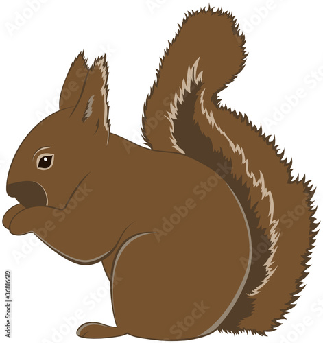 Niedliches Eichhörnchen braun sitzend