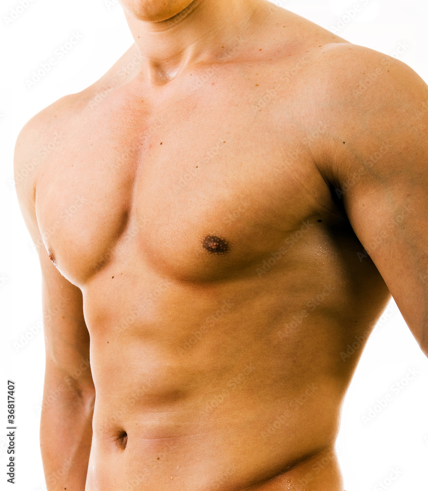 close up image of muscular perfect male torso on white backgroun close up image of muscular perfect male torso on white backgroun