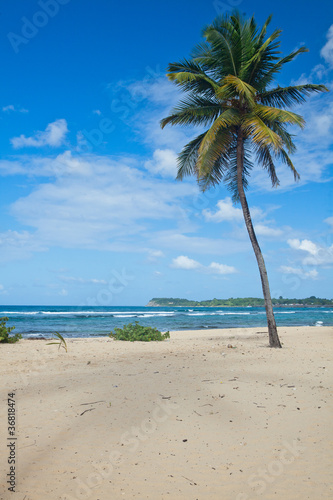 Plage de la Chapelle en Guadeloupe