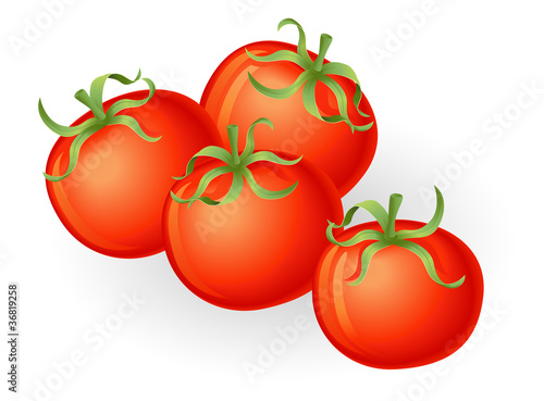 Tomatos illustration