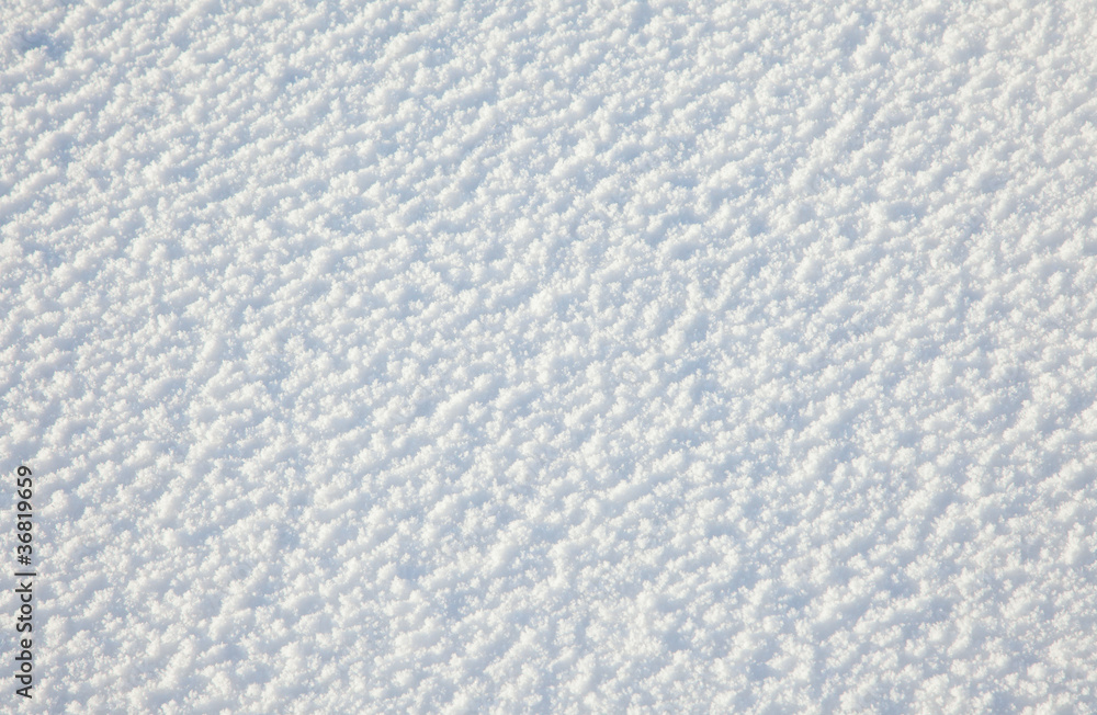 The white background of snow and ice