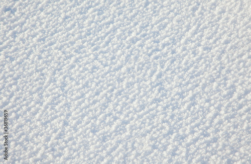 The white background of snow and ice