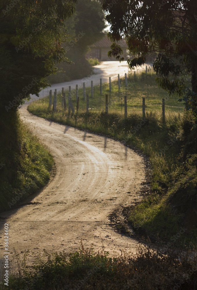 Country Road in Backlight.