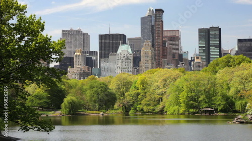 New York Skyline