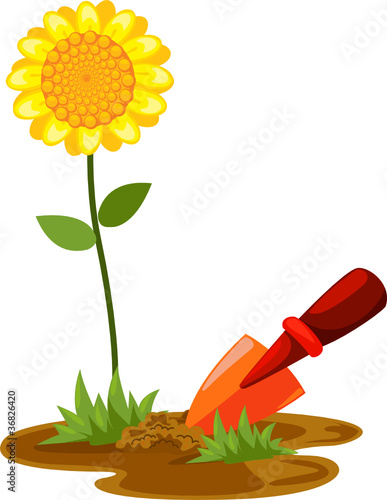 small shovel with sunflower