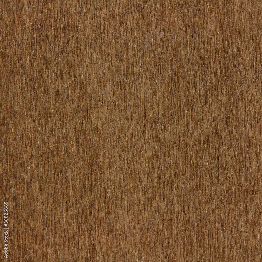 Fototapeta premium Wood texture