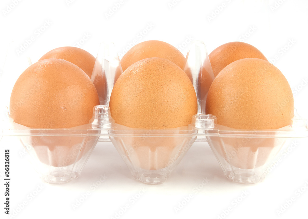 egg in plastic case isolated on white