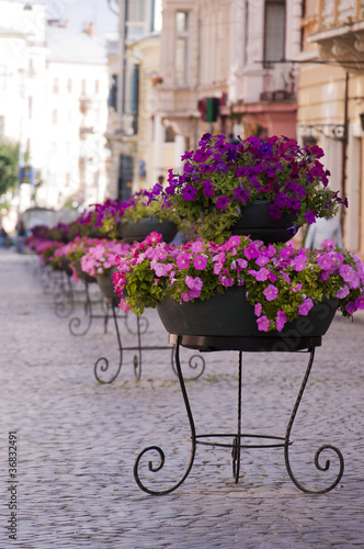 Foto flowers on cobblestone romantic street