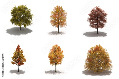 3d autumn trees pack with shadows