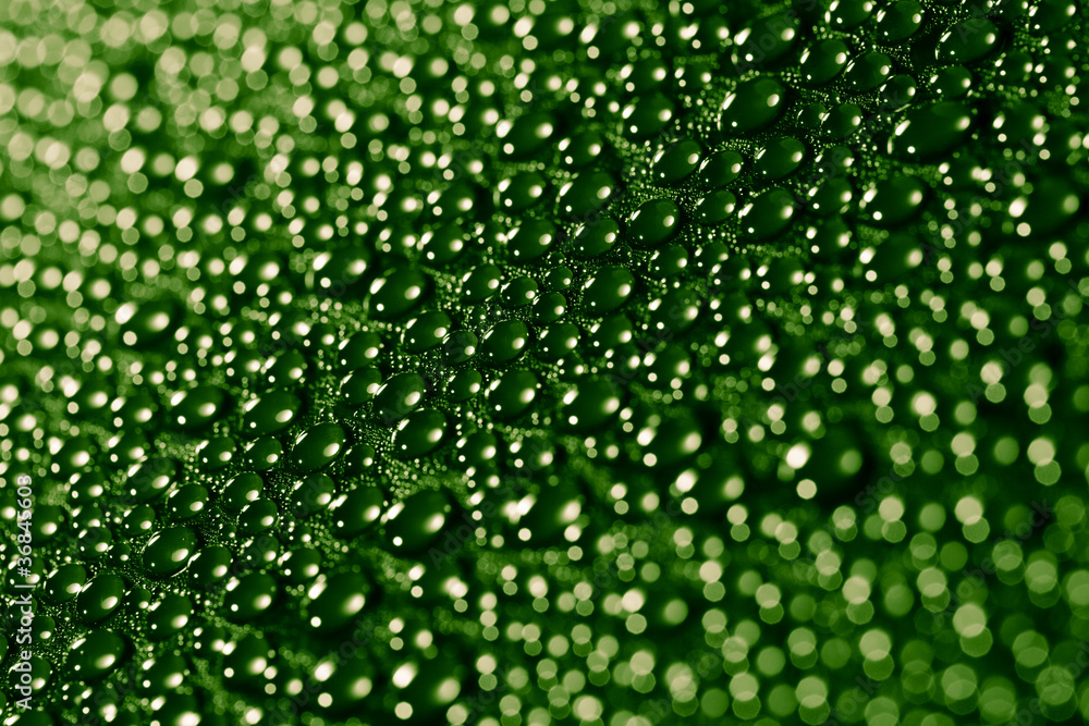 Beautiful drops of water Beautiful drops of water