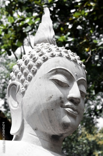 Buddha head sculpture Wat Rampoeng photo