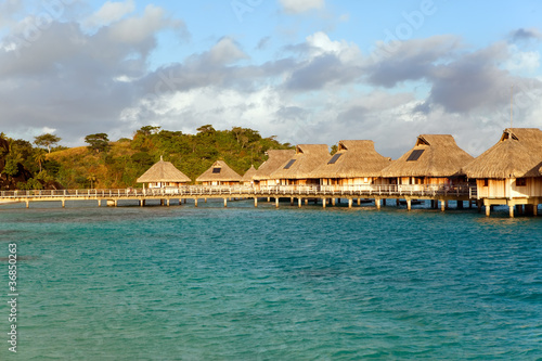 Typical Polynesian landscape-seacoast with palm trees.houses
