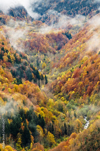 autumn valley landscape © arquiplay77