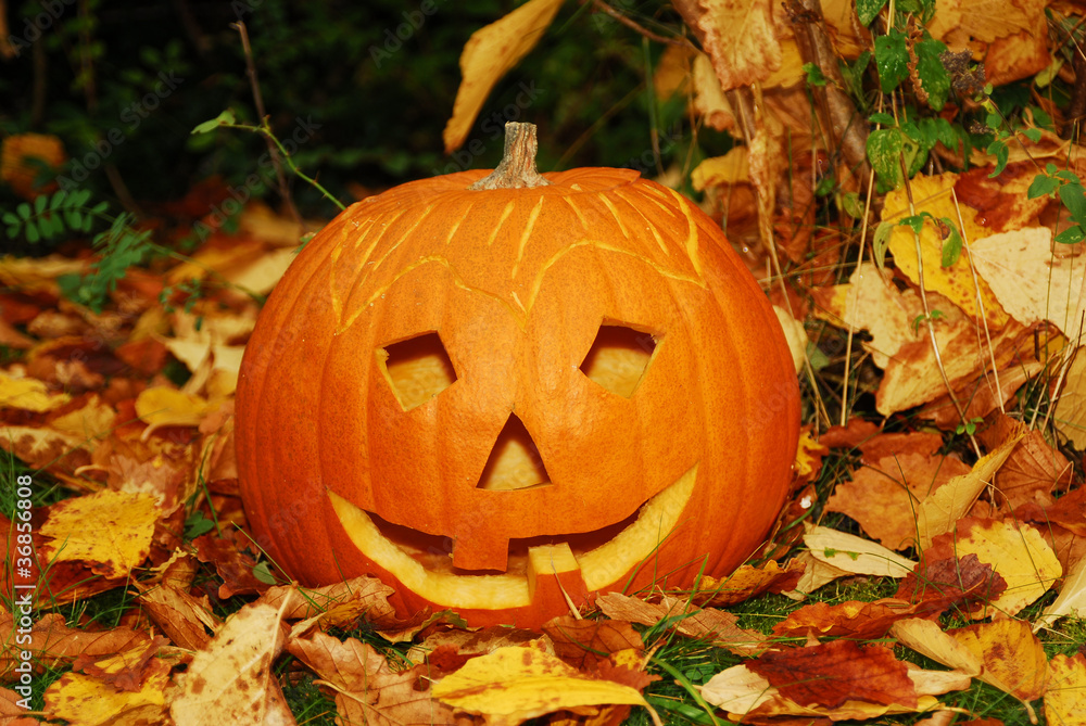 Halloween-Kürbis Halloween-Kürbis