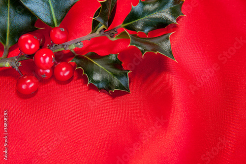 rametto di vischio su fondo rosso