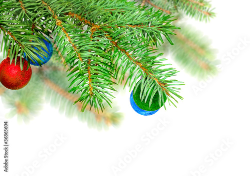 Christmas decoration-glass ball on fir branches.