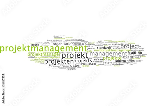 Projektmanagement