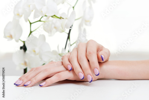 Hands with manicure lying down in front of white orchid