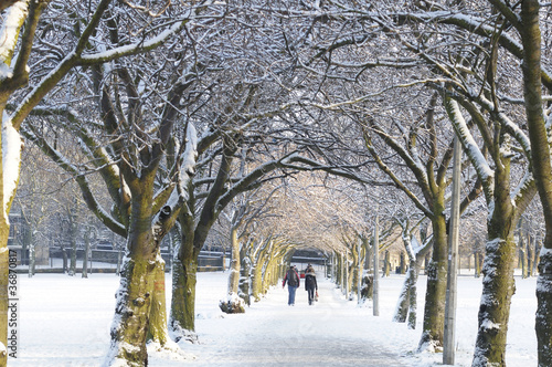 Edinburgh in the snow