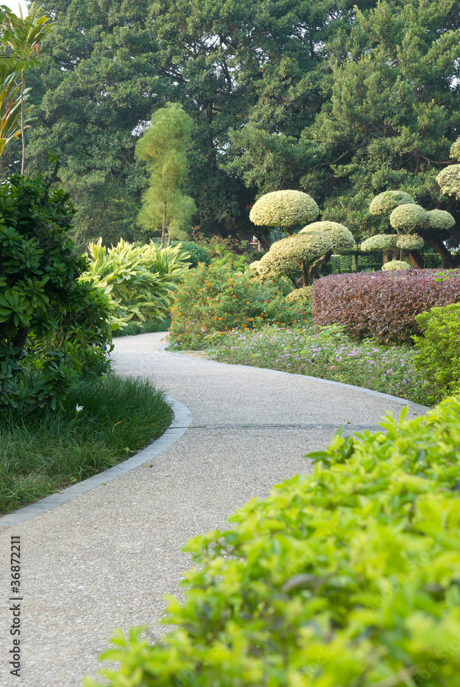 Obraz premium a helthy green strolling path