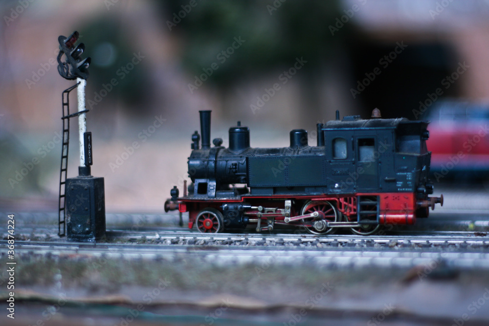 Fototapeta premium Train