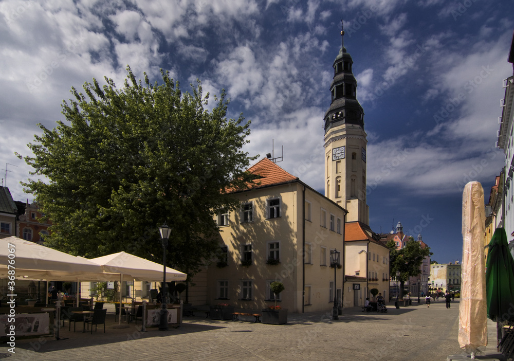 Fototapeta premium zielona góra