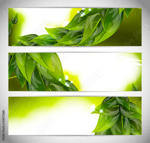 Abstract bright banners with leaves