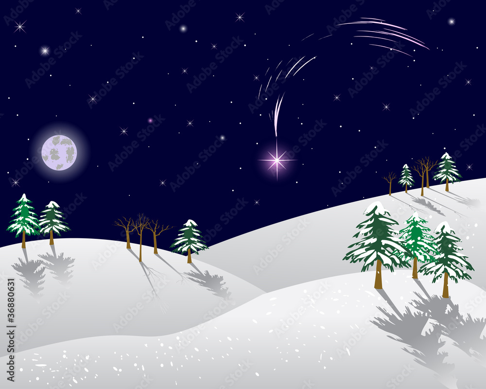Winter landscape with christmas star.