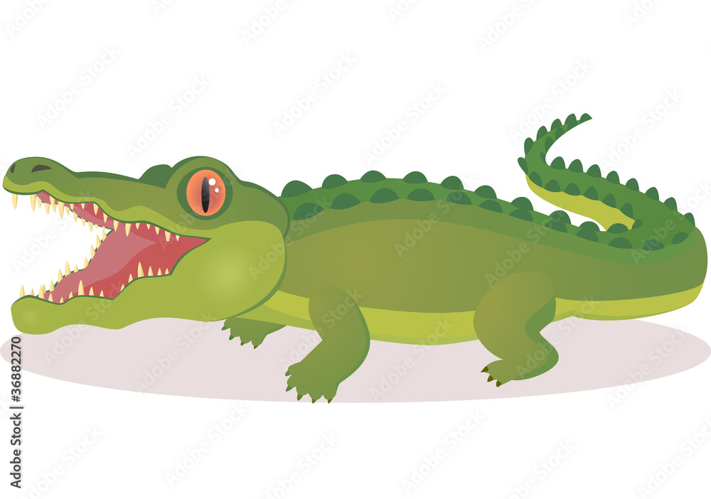 Crocodile cartoon Crocodile cartoon