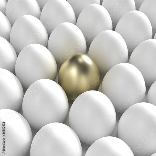 Golden egg among usual whit...