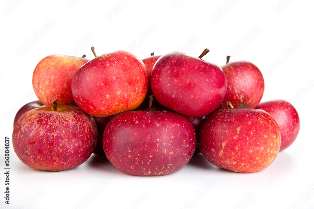 Bio Äpfel