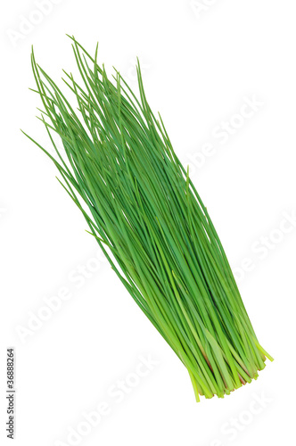 green onions leeks isolated on white