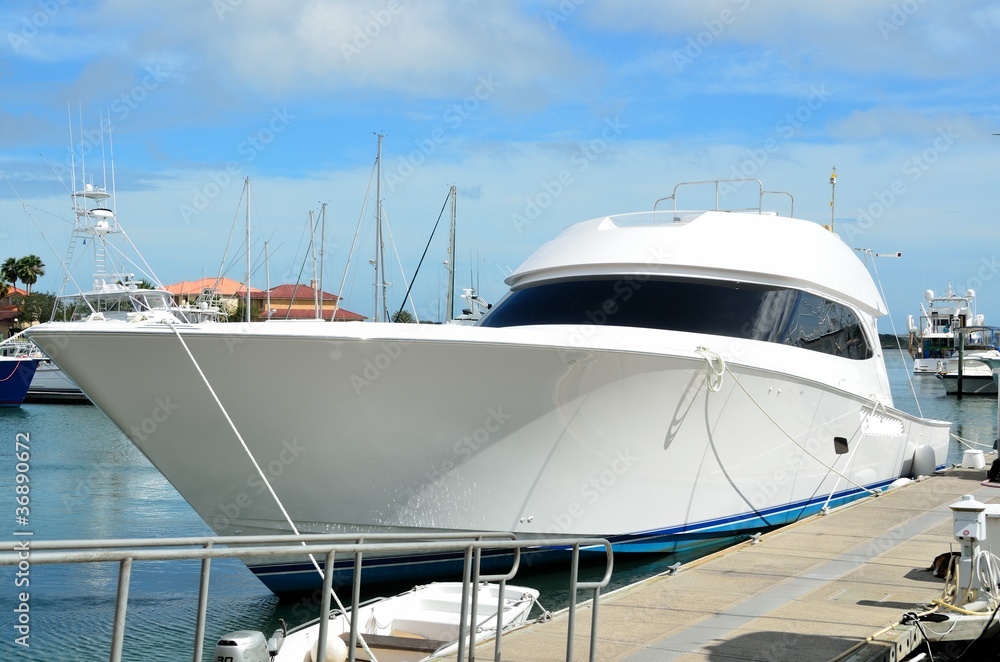 Fototapeta premium high speed yacht moored at marina in florida usa