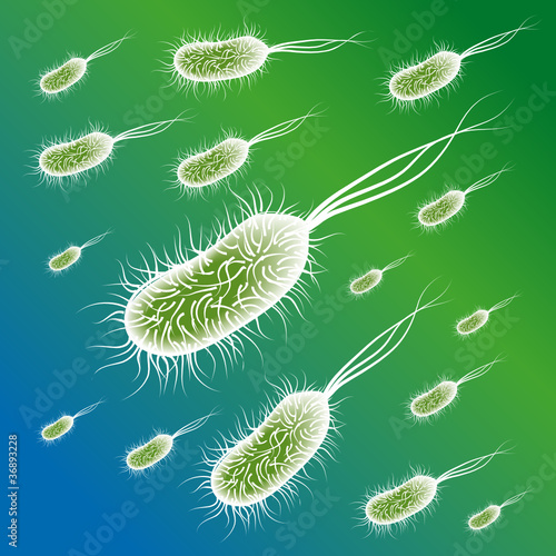 Group of the E coli Bacteries. Vector illustration