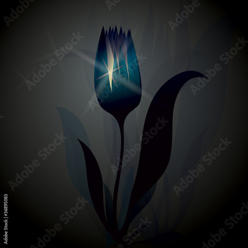 Flower Tulip is shining / Magic background