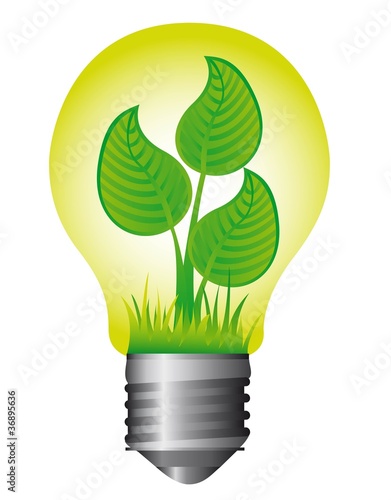 light bulb