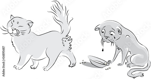 Sad cat looks at the empty plate, fat cat licked