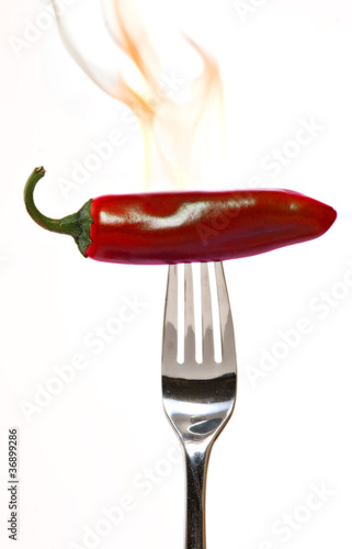 flaming hot red chili pepper © markskalny