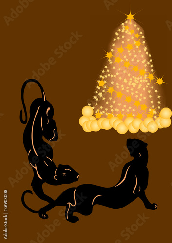 two black panthers