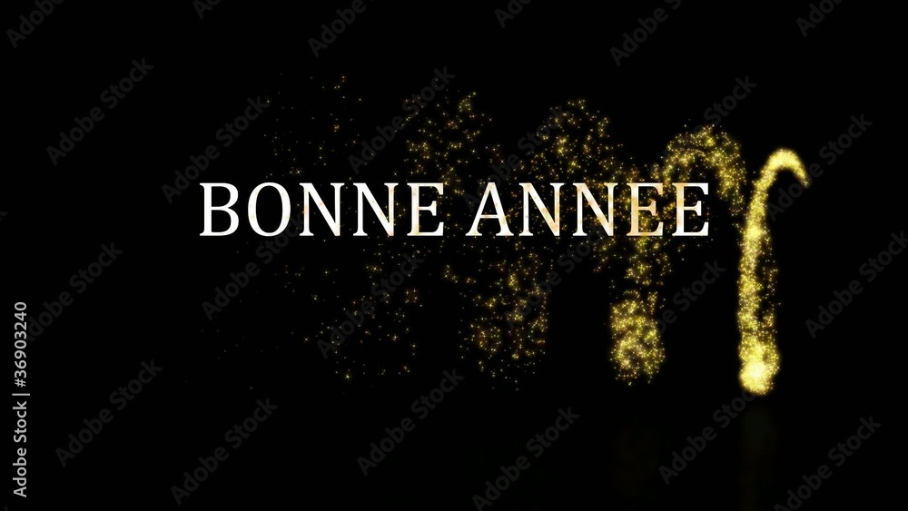 Bonne année 2012