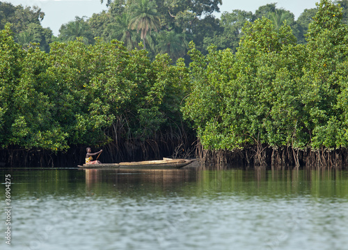 Gambian Woman paddling pirogue
