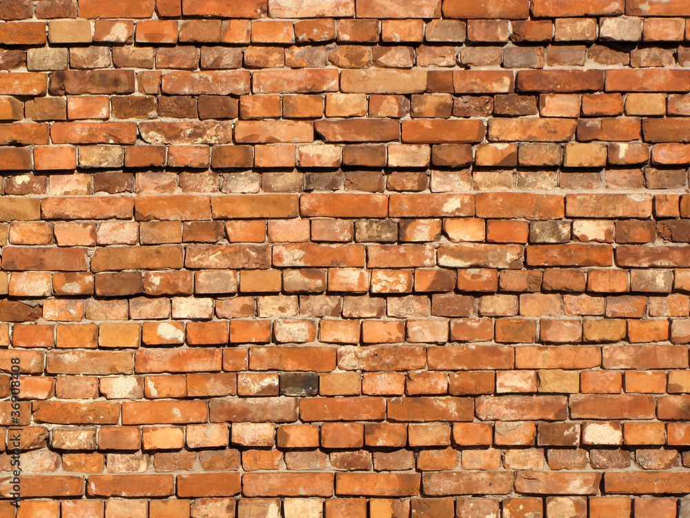 Fototapeta premium brick wall