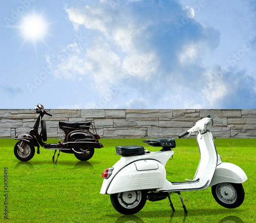 White and black vintage mortorbike in the garden photo