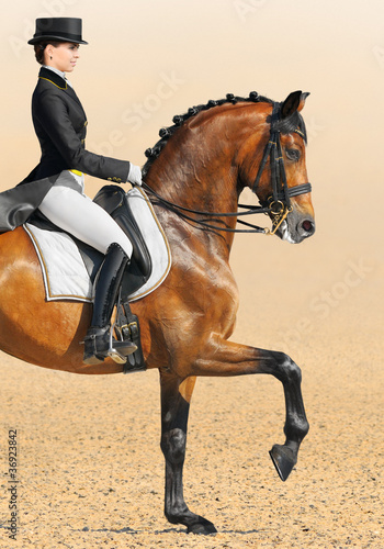 Equestrian sport - dressage, closeup © Kseniya Abramova